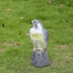 Jastrząb odstraszacz ptaków gołębi szpaków sokół - obrazek 6