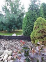 Murek ogrodowy wysoki 18 cm 2,2 m obrzeże trawnika PŁOTEK PALISADA POLSKI - obrazek 5
