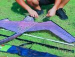 ODSTRASZACZ PTAKÓW GOŁĘBI SZPAKÓW SOKÓŁ LATAWIEC ORZEŁ BIELIK BIAŁY - obrazek 3