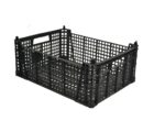 SKRZYNKA PLASTIKOWA KOSZ KOSZYK CASI 40X30X15 - obrazek 2