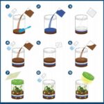 DINOZAUR OGRÓD TERRARIUM PROJEKTOR LAMPKA NOCNA PIASEK NAKLEJKI ROŚLINY - obrazek 6
